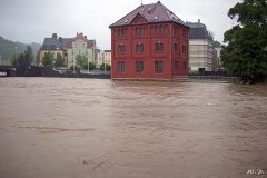 Hochwasser Weiße Elster in Greiz (Bild: W. Preißler)